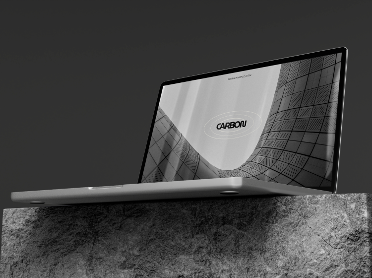 portfolio img 1.png